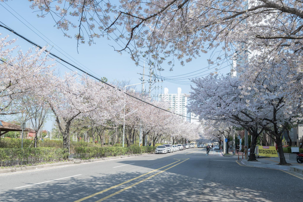 来韩国做皮肤前，先看完这篇，不然真的会多花钱插图